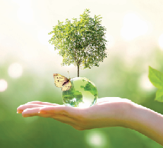 Lead story July 2020 LP